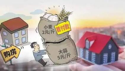 小麥換房、西瓜換房、首付分期&hellip;為何被叫停?